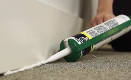 How to Get Rid of Pincher Bugs / Earwigs Easily