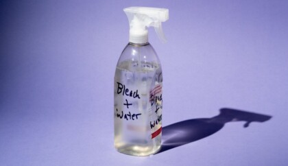 Does Bleach Kill Wasps? + Some Other DIY Solutions
